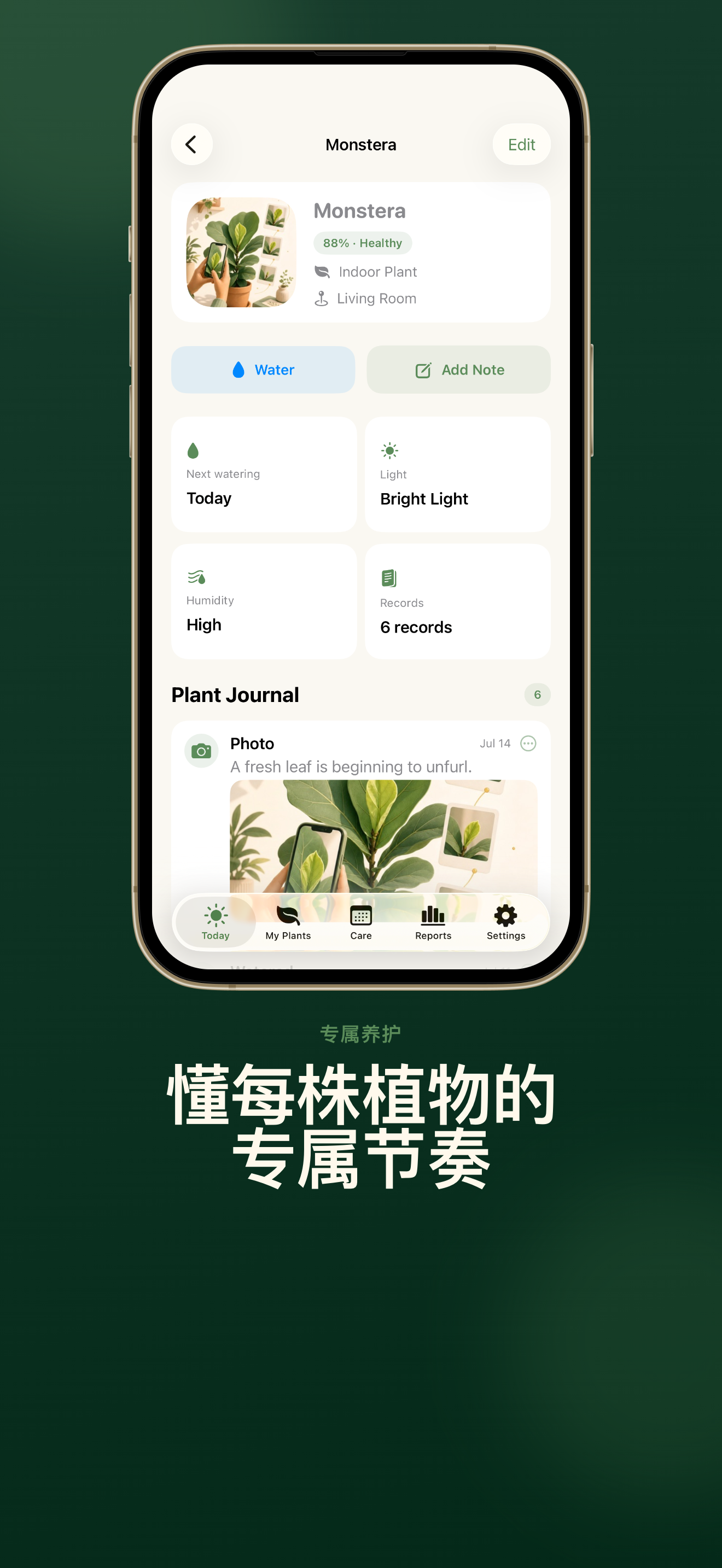Leafy Days iPhone 截图 3